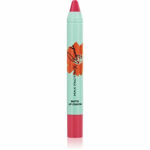 Max Factor x Priyanka Colour Elixir rtěnka v tužce limitovaná edice odstín 003 Hibiscus Flower 1.8 g obraz