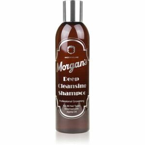 Morgan's Deep Cleansing Shampoo intenzivní šampon pro hloubkové čištění 250 ml obraz