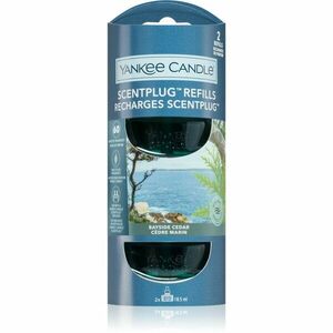 Yankee Candle Bayside Cedar náhradní náplň do elektrického difuzéru 2x18.5 ml obraz
