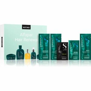 Beauty Discovery Box Notino XL - Alfaparf Hair Renewal sada pro ženy obraz