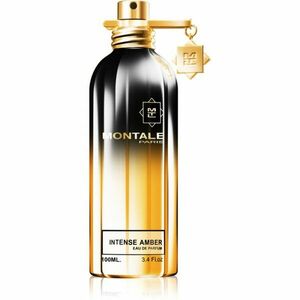 Montale Intense Amber parfémovaná voda unisex 100 ml obraz