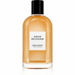 David Beckham Amber Breeze parfémovaná voda pro muže 100 ml obraz