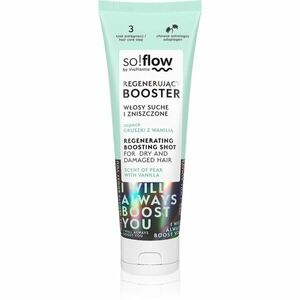 so!flow Dry and Damaged Hair Regenerating Boosting Shot regenerační sérum pro suché a poškozené vlasy 75 ml obraz