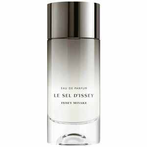 Issey Miyake Le Sel d'Issey parfémovaná voda pro muže 100 ml obraz