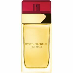Dolce&Gabbana Pour Femme toaletní voda pro ženy 100 ml obraz