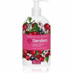 Helan CherryBerry jemné tekuté mýdlo na ruce 500 ml obraz