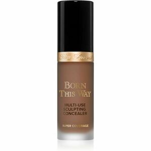 Too Faced Born This Way Super Coverage Multi-Use Concealer dlouhotrvající korektor pro plné krytí odstín Chai 13, 5 ml obraz