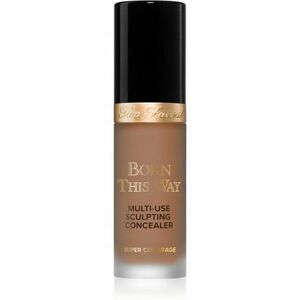 Too Faced Born This Way Super Coverage Multi-Use Concealer dlouhotrvající korektor pro plné krytí odstín Chestnut 13, 5 ml obraz