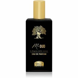 Helan M-OUD parfémovaná voda pro muže 50 ml obraz