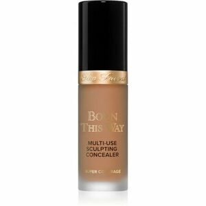 Too Faced Born This Way Super Coverage Multi-Use Concealer dlouhotrvající korektor pro plné krytí odstín Maple 13, 5 ml obraz