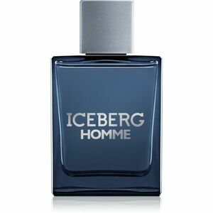 Iceberg Homme toaletní voda pro muže 100 ml obraz