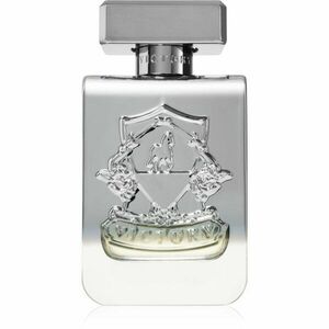 Victory Silver parfémovaná voda unisex 100 ml obraz