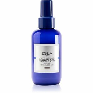ESLA ITALY Repair Prestige regenerační péče pro poškozené vlasy 150 ml obraz
