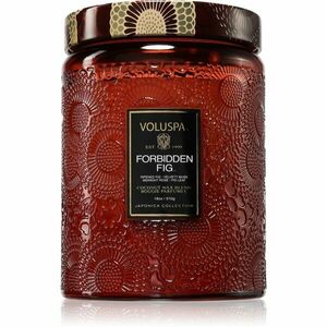 VOLUSPA Japonica Forbidden Fig vonná svíčka 510 g obraz