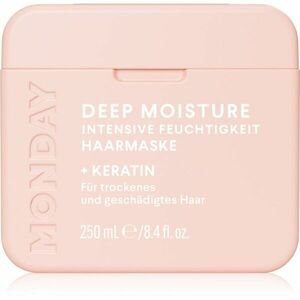 MONDAY Moisture intenzivní hydratační maska pro suché vlasy 250 ml obraz