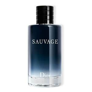 DIOR - Sauvage Eau de Toilette – Toaletní voda pro muže obraz