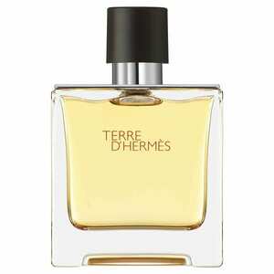 HERMÈS - Terre d'Hermès - Parfém obraz