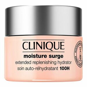 CLINIQUE - Moisture Surge - Hydratační krém na obličej obraz