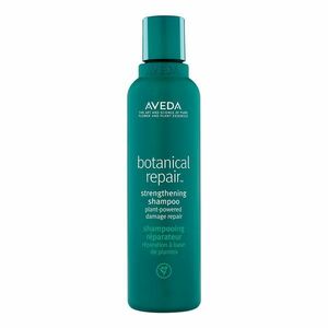 AVEDA - Botanical Repair Shampoo - Šampon obraz