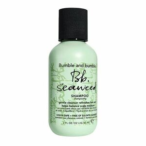 BUMBLE AND BUMBLE - Seaweed Shampoo - Šampon na vlasy obraz
