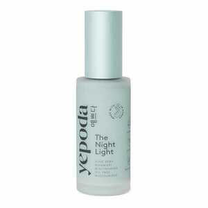 YEPODA - The Night Light – Hydratační krém bez olejů s pelyňkem a niacinamidem obraz