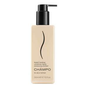 CHAMPO - Kapha Clarifying Conditioner – Rozjasňující kondicionér obraz