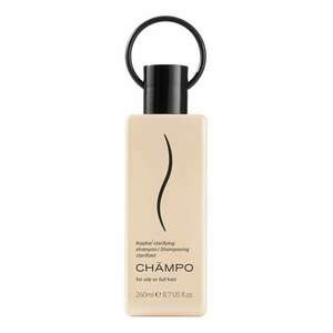 CHAMPO - Kapha Clarifying Shampoo – Rozjasňující šampon obraz