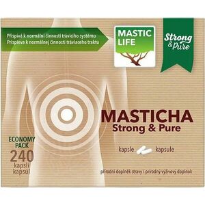 MASTICLIFE Čistý prášek z chioské Mastichy 240 kapslí obraz