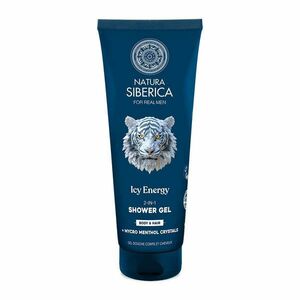 NATURA SIBERICA Arctic Wild Sprchový gel 2v1 na tělo a vlasy Ledová energie 200 ml obraz