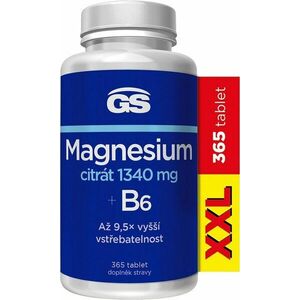 GS Magnesium citrát 1340 mg B6 365 tablet obraz