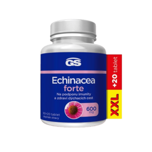 GS Echinacea forte XXL 110 tablet obraz