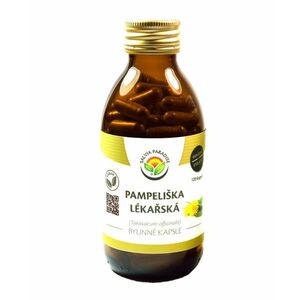 SALVIA PARADISE Pampeliška lékařská 120 kapslí obraz