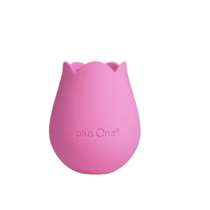 PLUSONE Růžová rozkoš Bloom PLO-6747PNKN obraz