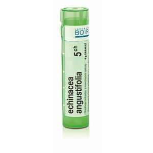Boiron ECHINACEA ANGUSTIFOLIA CH5 granule 4 g obraz