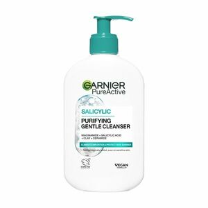 Garnier Pure Active Hydratační čisticí gel proti nedokonalostem 250 ml obraz