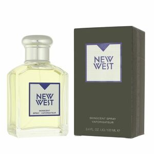 Aramis New West EDT 100 ml M obraz