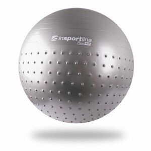 inSPORTline Gymnastický míč Relax Ball 65 cm šedá obraz