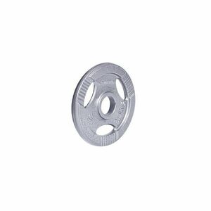 inSPORTline Litinový kotouč Hamerton 2, 5 kg 30 mm obraz
