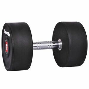 inSPORTline Jednoruční činka Profi 24 kg obraz
