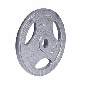 inSPORTline Litinový kotouč Hamerton 15 kg 30 mm obraz