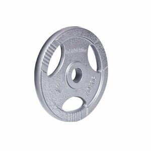 inSPORTline Litinový kotouč Hamerton 10 kg 30 mm obraz