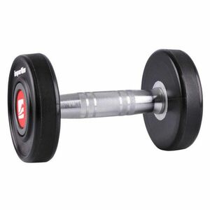 inSPORTline Jednoruční činka Profi 4 kg obraz