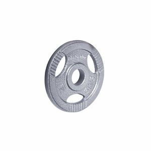 inSPORTline Litinový olympijský kotouč Hamerton 5 kg 50 mm obraz