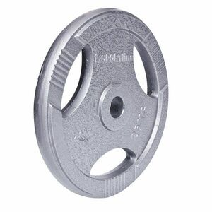 inSPORTline Litinový kotouč Hamerton 25 kg 30 mm obraz