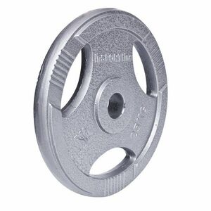 inSPORTline Litinový olympijský kotouč Hamerton 25 kg 50 mm obraz