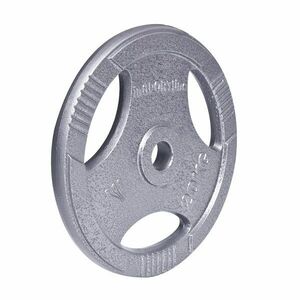 inSPORTline Litinový kotouč Hamerton 20 kg 30 mm obraz