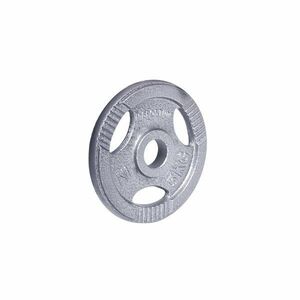 inSPORTline Litinový kotouč Hamerton 5 kg 30 mm obraz