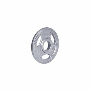inSPORTline Litinový olympijský kotouč Hamerton 2, 5 kg 50 mm obraz