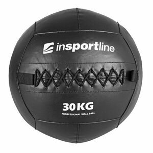 inSPORTline Posilovací míč Walbal SE 30 kg obraz