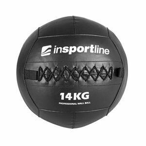 inSPORTline Posilovací míč Walbal SE 14 kg obraz
